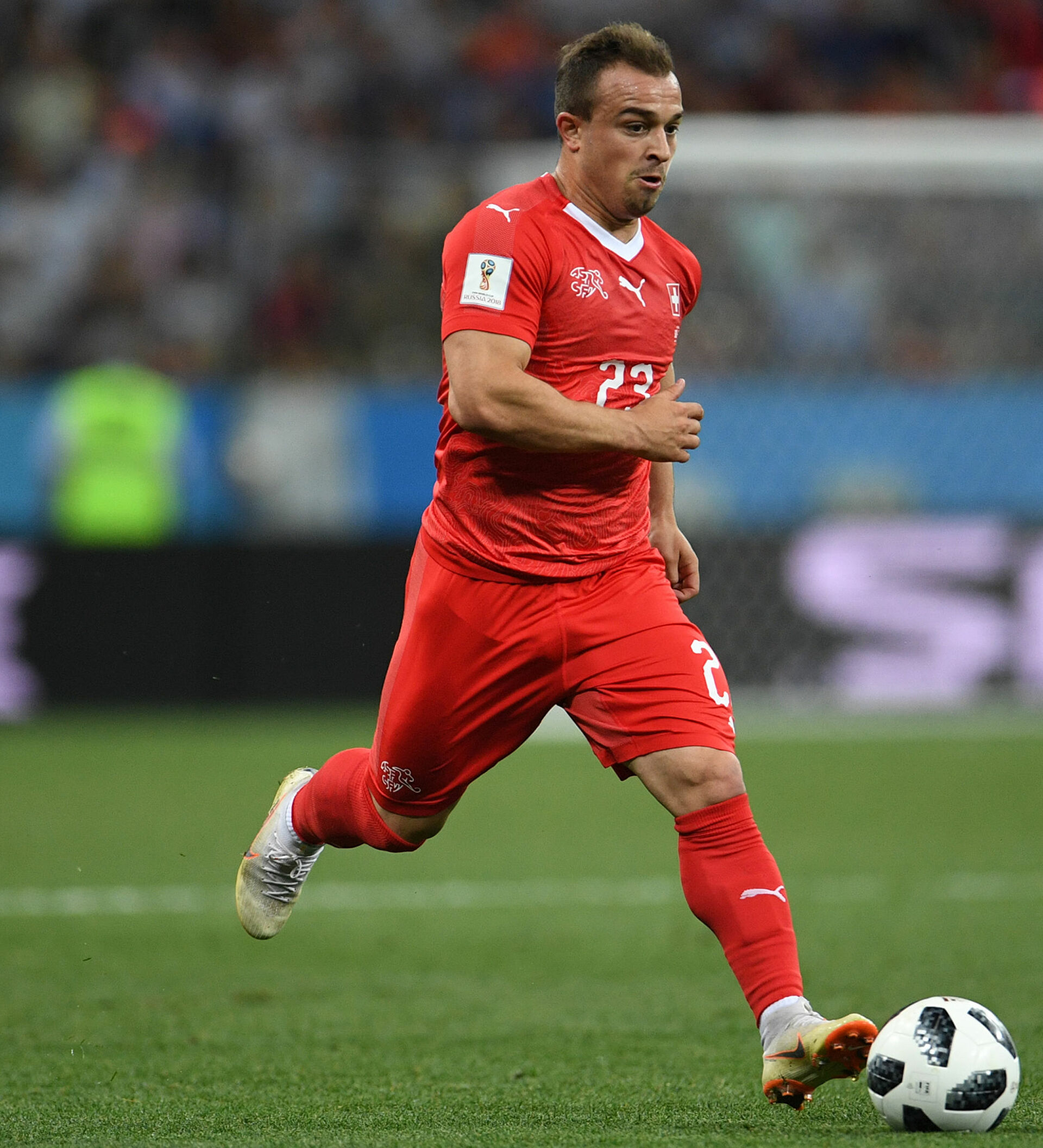 ژردان شقیری