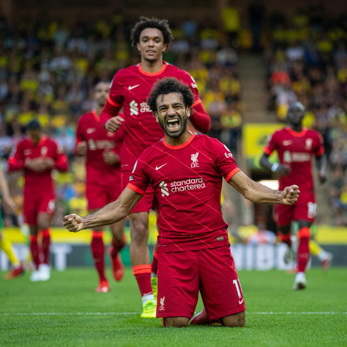 محمد صلاح